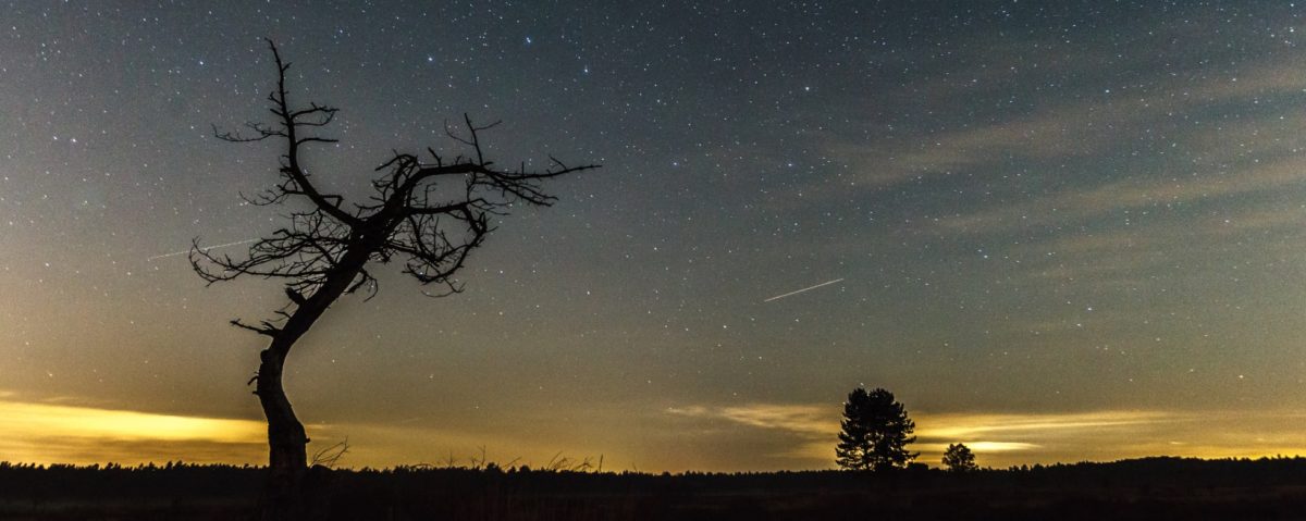 Donkerte van de Wadden