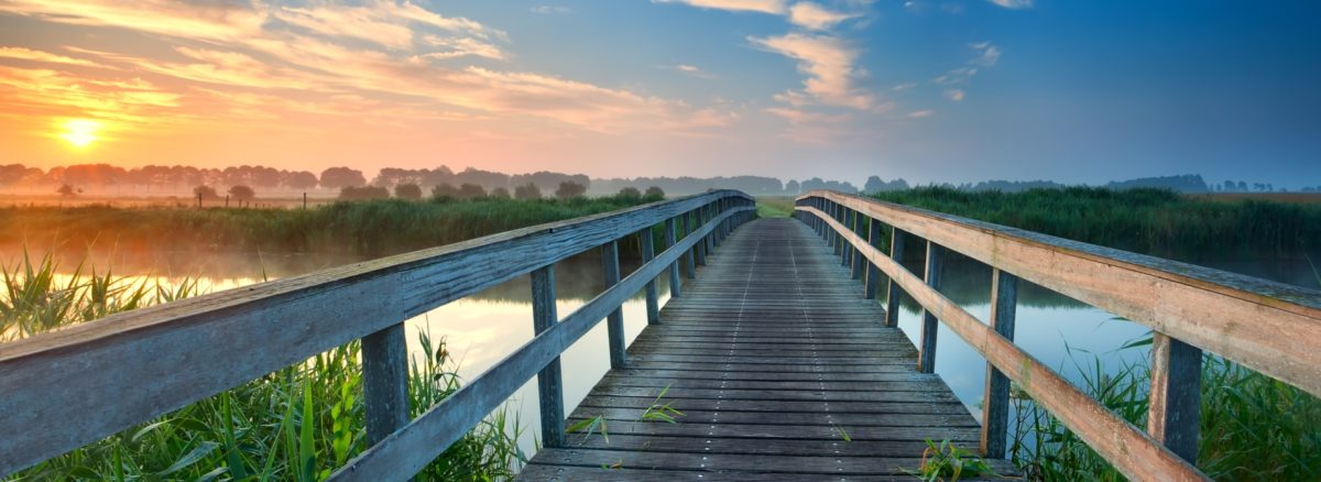 Onze reactie op de concept-Omgevingsvisie