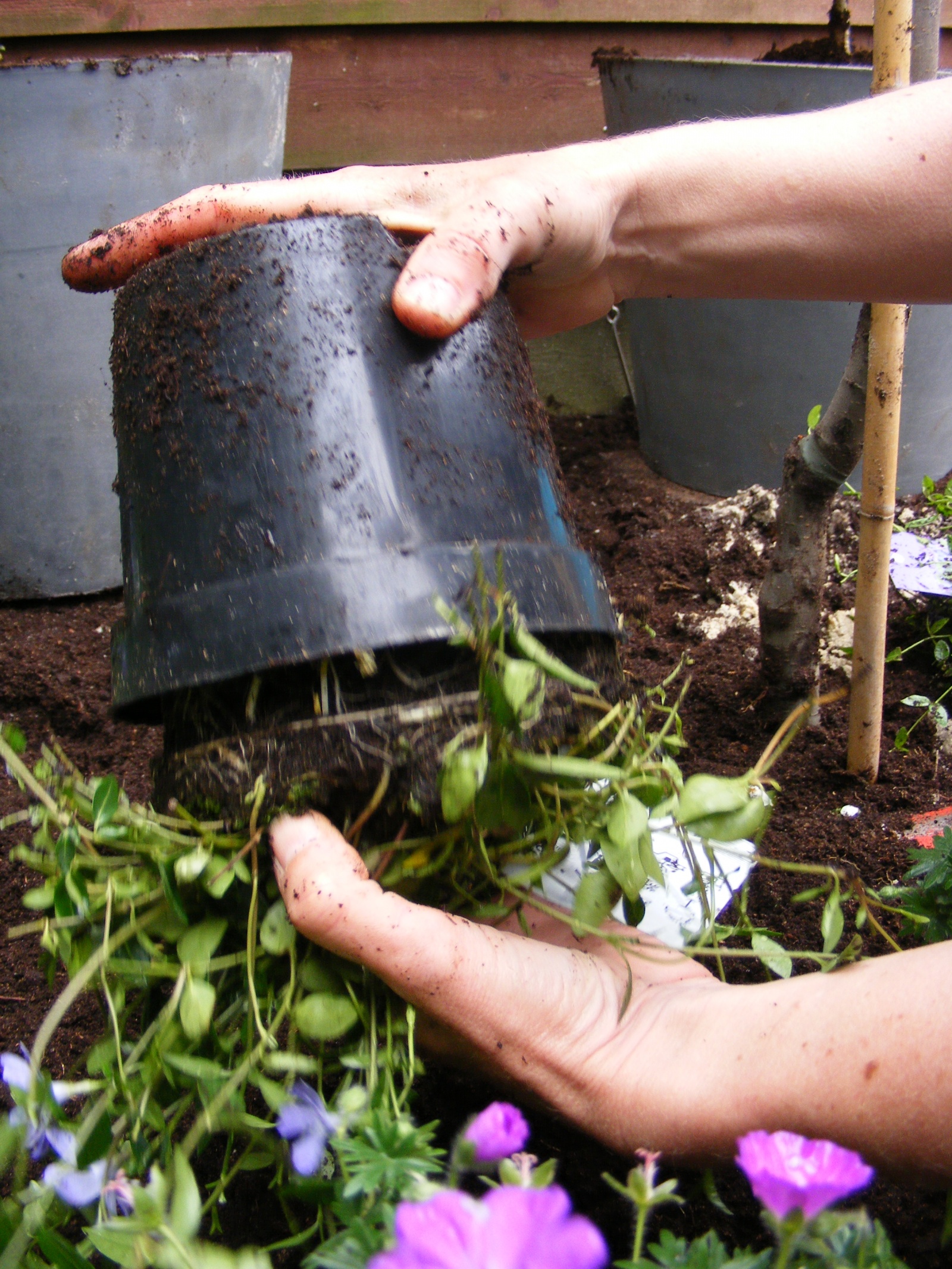 Doe groene inspiratie op tijdens de Tuin &amp; Sfeerbeurs Natuur en