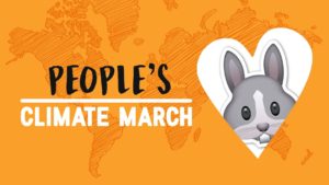 Loop mee met de People’s Climate March in Amsterdam