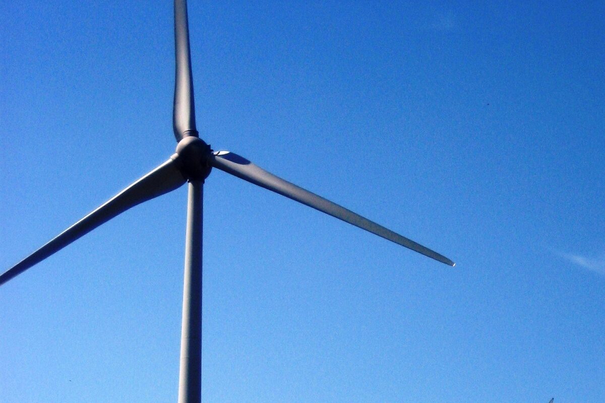 Achterban NMG: ‘uitbreiding windenergie langs waddenkust onbegrijpelijk’