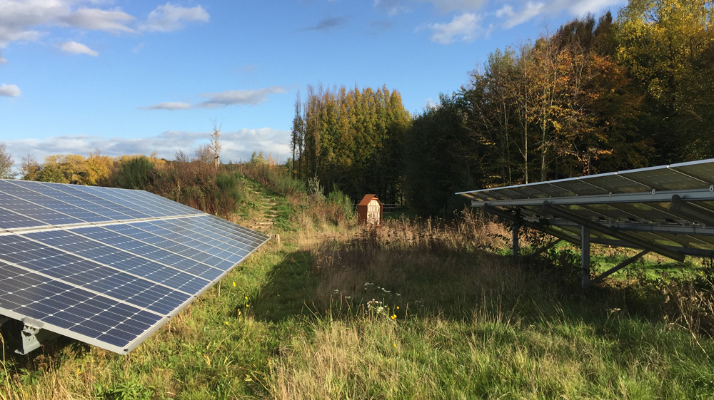 Foto: Solarpark de Kwekerij, een goed voorbeeld van een zonnepark met veel ruimte voor natuur