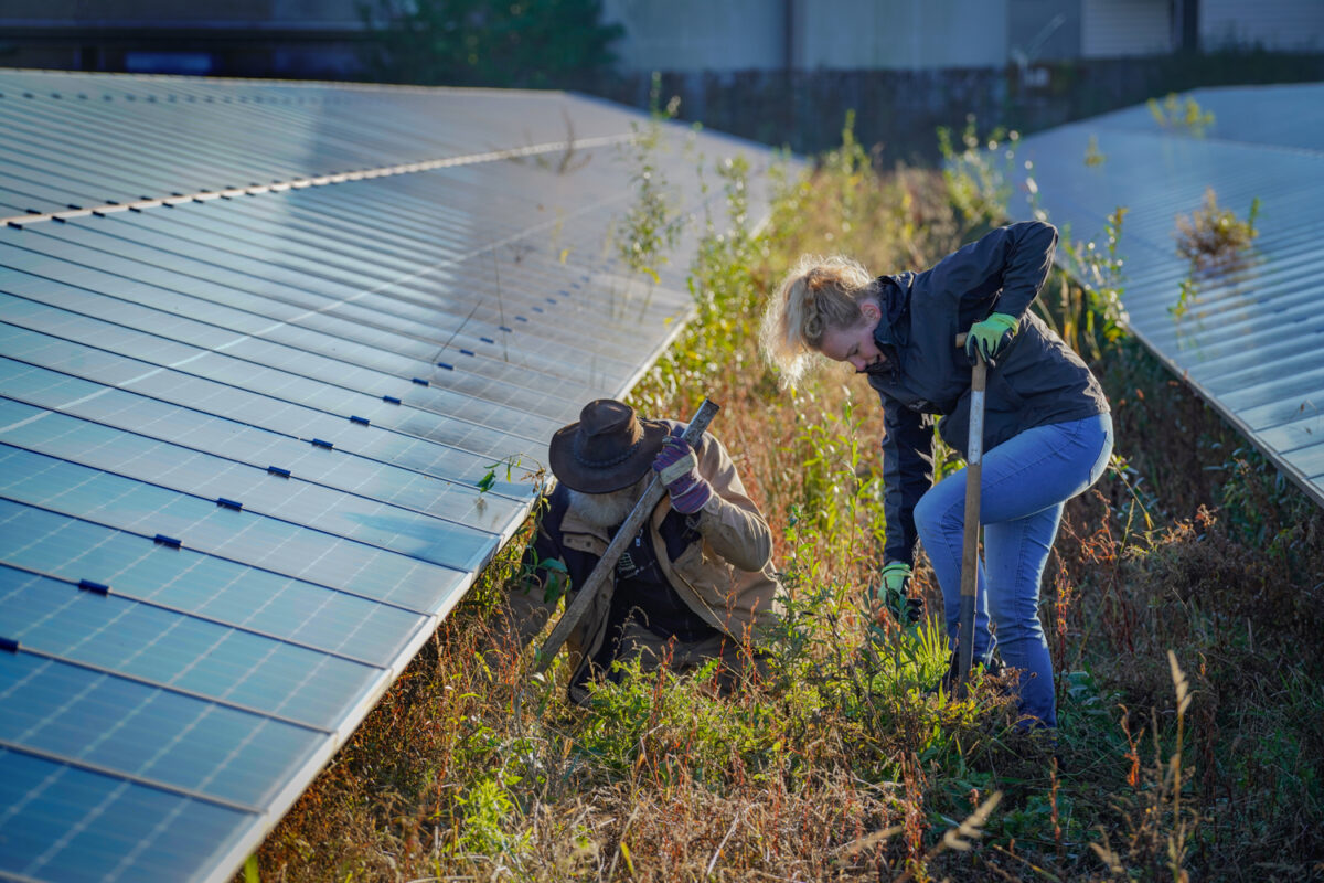 Steun onze oproep richting politiek: het klimaat wacht niet!