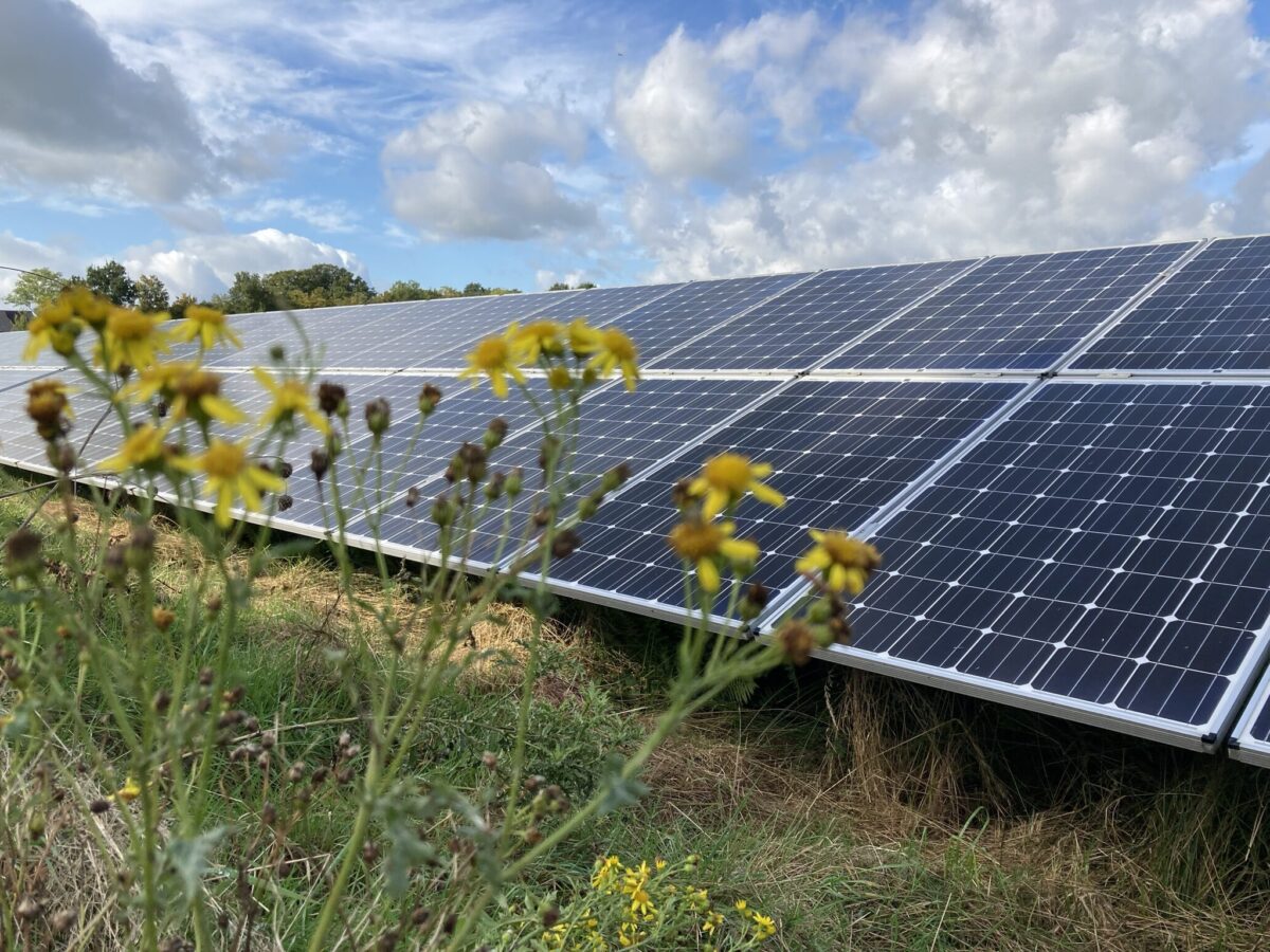 Leidraad ecologie op zonneparken