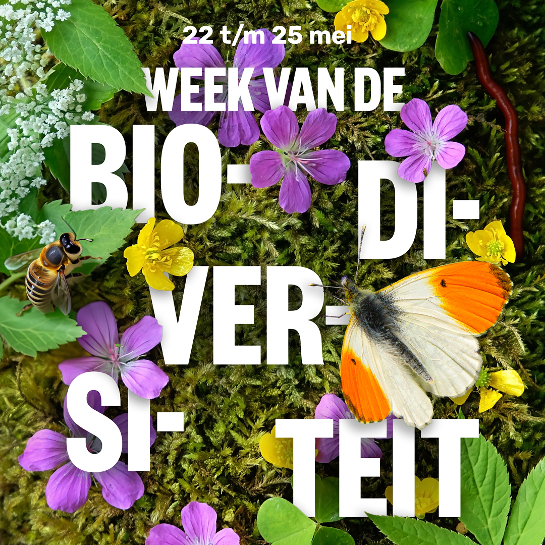 22 - 25 mei: Week van de Biodiversiteit in de gemeente Groningen
