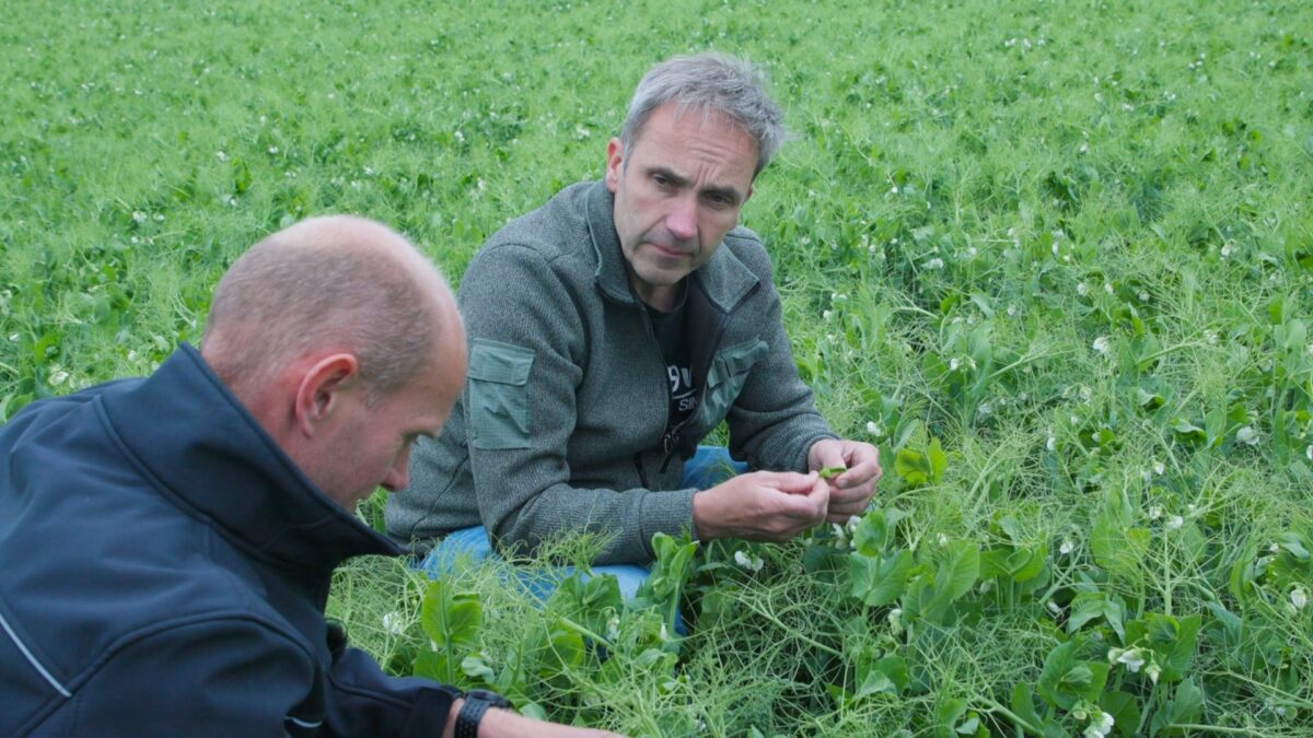 Over de documentaire