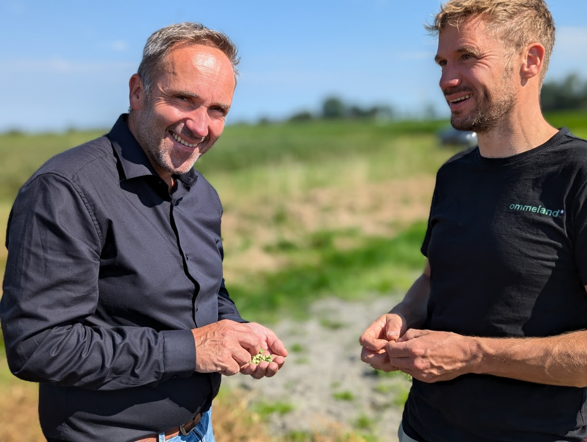 Ontdek de reis van de erwt tijdens het snertfeest