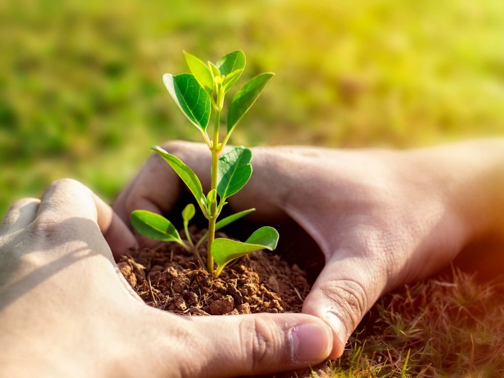 De rechter trekt de grens: tijd om Nederland weer vooruit te helpen
