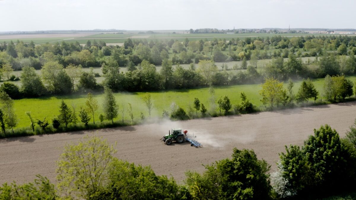 Agroforestry Netwerk Groningen