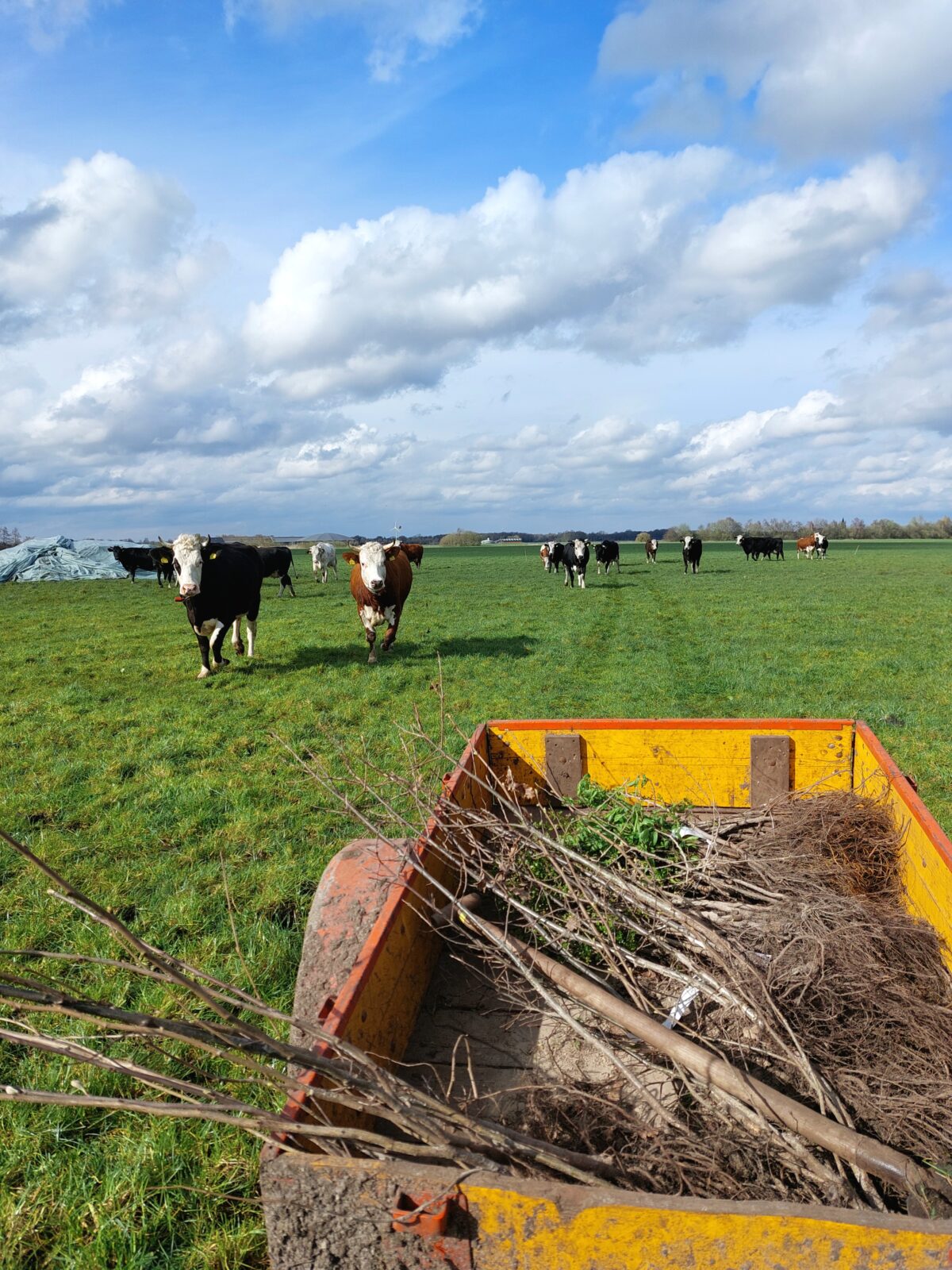 Het Agroforestry Netwerk Groningen komt naar je toe