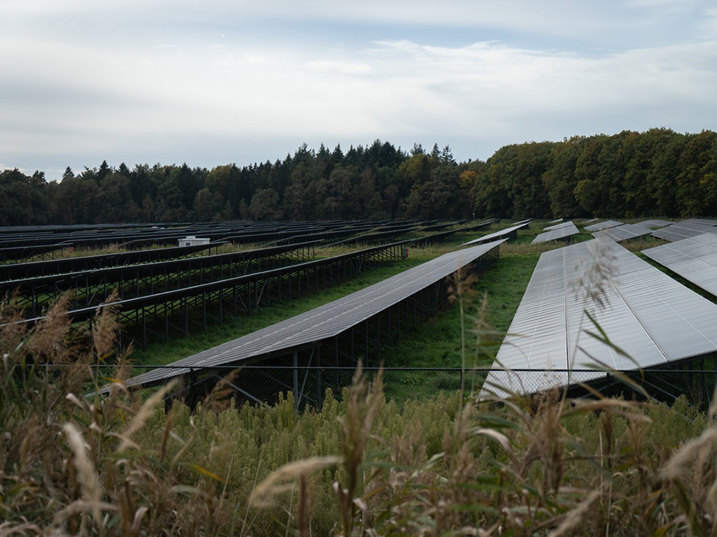 Natuur in de hoofdrol: hoe Groningen ecologie verankerde in de energietransitie
