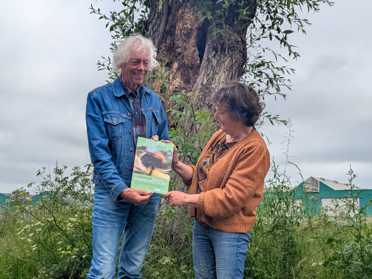 Van tengere grasjuffers en pluimwoudzwevers tot gulden boterbloem