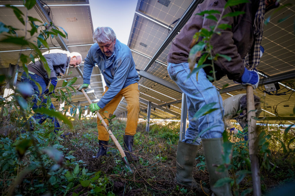 8 impactverhalen laten zien: echte verandering komt van onderop