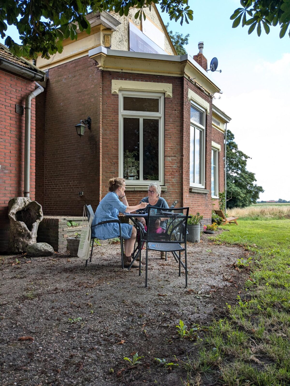 Adviseren over agroforestry