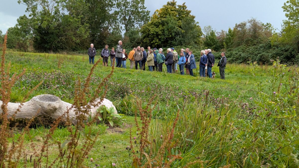 Gronings Groen genieten Op Maarhuizen