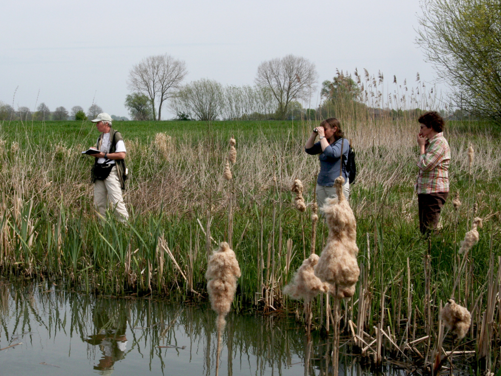 Stimuleringsfonds voor lokale vrijwilligers