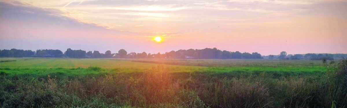 In memoriam: Dick van der Meijden