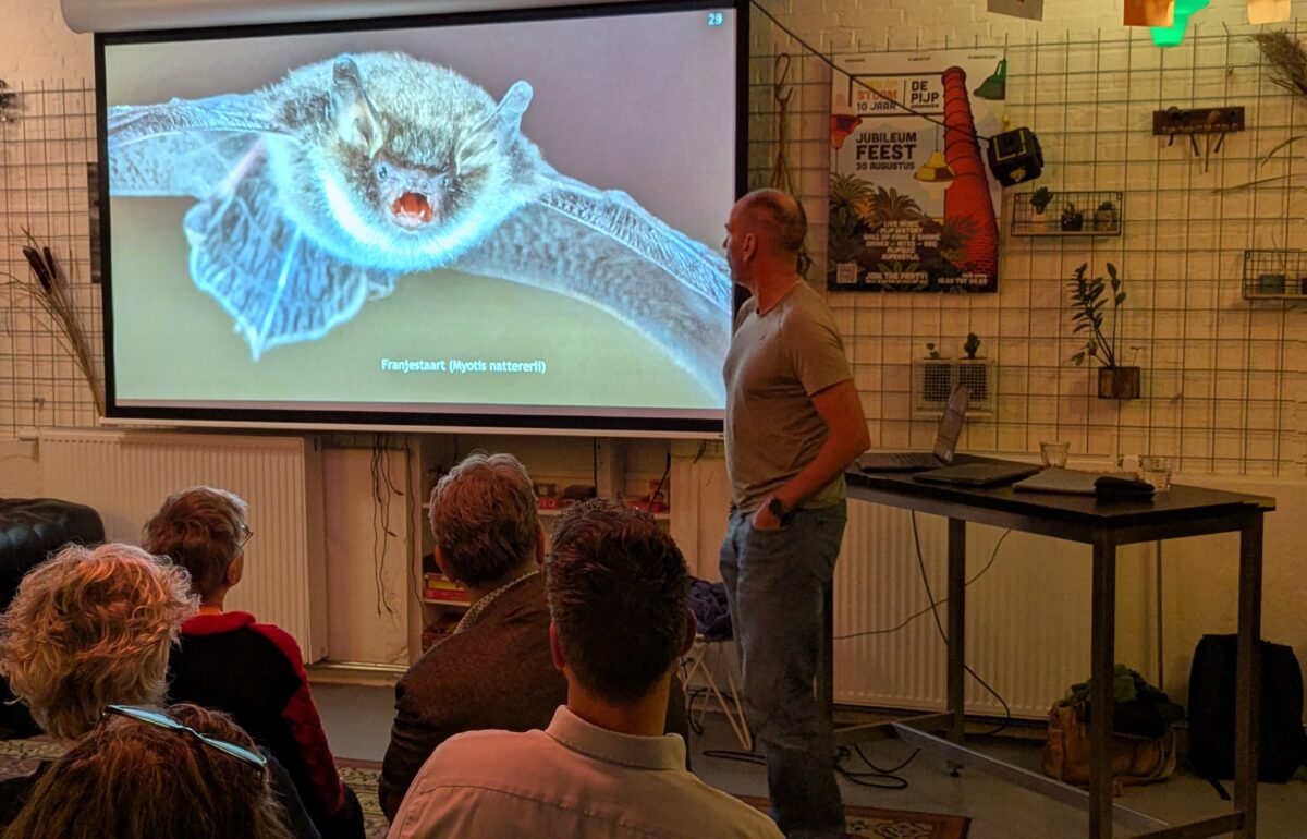 Lichthinder en nachtnatuur: terugblik op een geslaagde avond over Donkerte