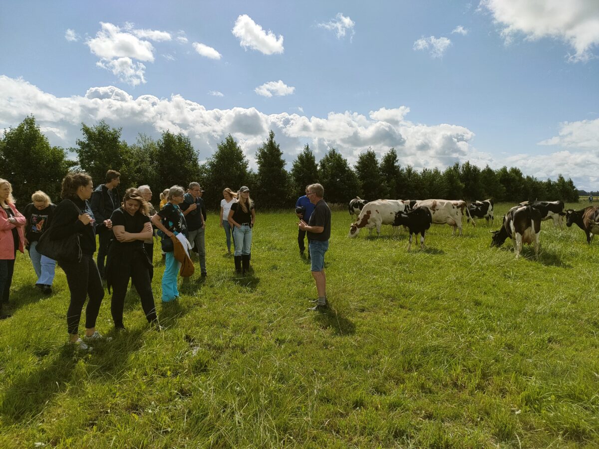 7 juli: Excursie Flevoland met Agroforestry Netwerk Groningen
