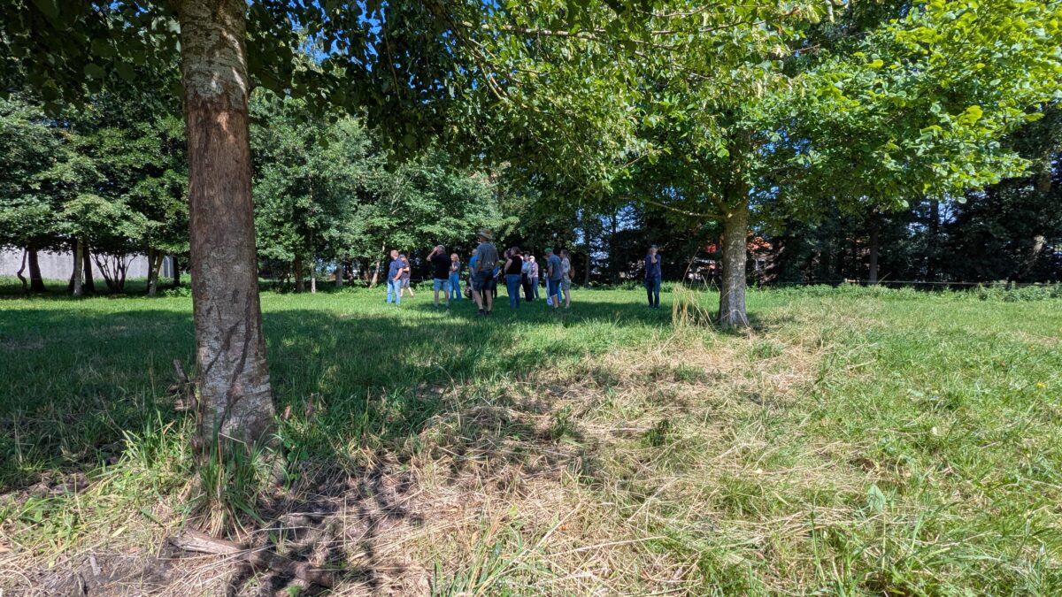 Agroforestry Baanbrekersverkiezing 2026 van start!