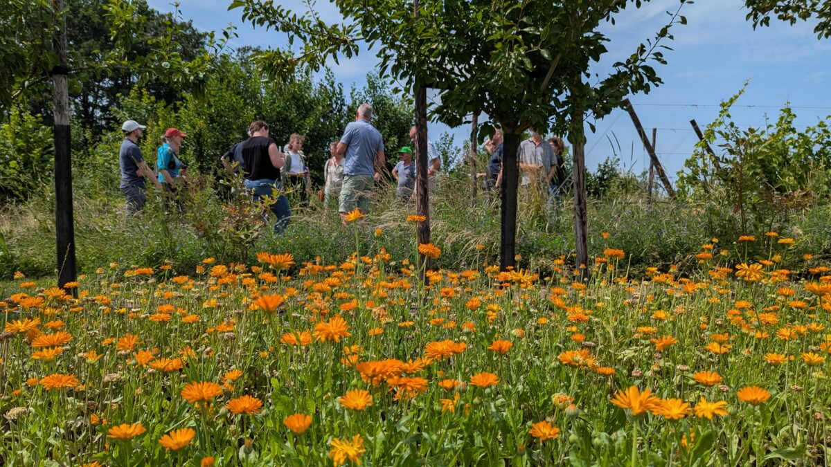 Bevlogenheid en biodiversiteit in Flevoland